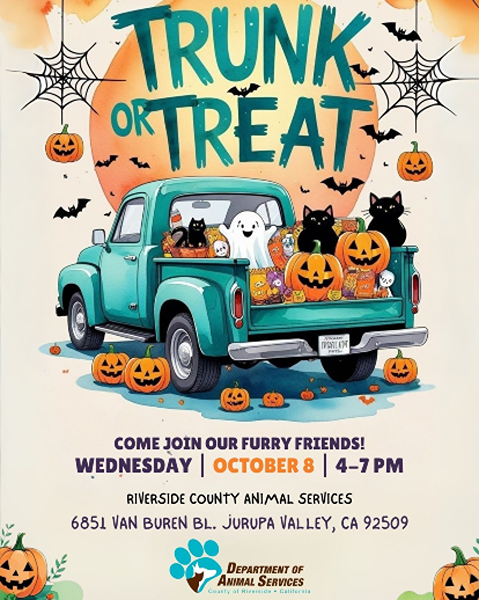 Jurupa Valley Trunk or Treat flyer 2025